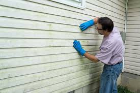 Best Insulated Siding Installation  in Veneta, OR